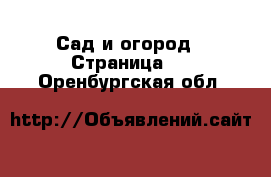  Сад и огород - Страница 2 . Оренбургская обл.